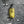 Load image into Gallery viewer, Olivette Liquid Soap